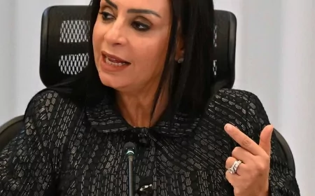 وزيرة التضامن: مصر بوابة عبور 70% من مساعدات غزة