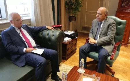 وزير الكهرباء يبحث مع سفير السويد تعميق الشراكة في الطاقة المتجددة وتوطين صناعة مهماتها وبطاريات التخزين