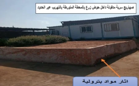 هيئة البترول تعلن نتائج الحملات الرقابية على منظومة توزيع الوقود خلال الأسبوع الثانى من أكتوبر