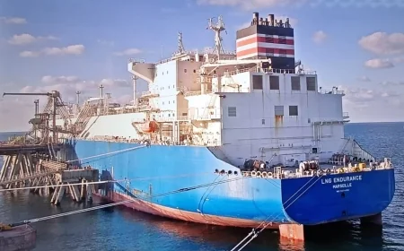 مصر تُصدر 150 ألف متر مكعب من الغاز المسال إلى تركيا لصالح توتال إنيرجيز