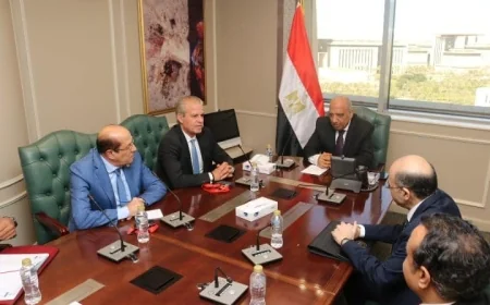 مصر تبدأ خطوات إنشاء مجمع صناعي لاستخلاص العناصر الأرضية النادرة وفقاً لتوجيهات الرئيس السيسي