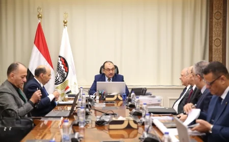 وزير قطاع الأعمال العام يتابع جهود التوافق مع آلية تعديل حدود الكربون لتعزيز تنافسية الصادرات