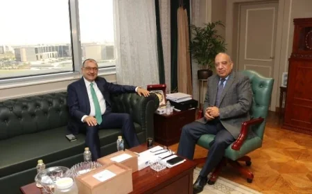 وزيرا الكهرباء والطاقة المتجددة  وقطاع الأعمال العام  يبحثان التنسيق والتعاون في مجالات كفاءة الطاقة وترشيد الاستهلاك والتوسع فى استخدامات الطاقات المتجددة فى الصناعات كثيفة الاستهلاك للكهرباء