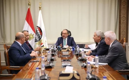 وزير قطاع الأعمال يبحث مع نقيب أطباء الأسنان تأمين احتياجات السوق من بنج الأسنان والمستلزمات الطبية