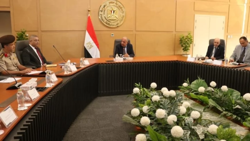 بأمر رئاسي: لجنة عليا لـ "العناصر الأرضية النادرة" تبدأ عملها برئاسة وزير الكهرباء
