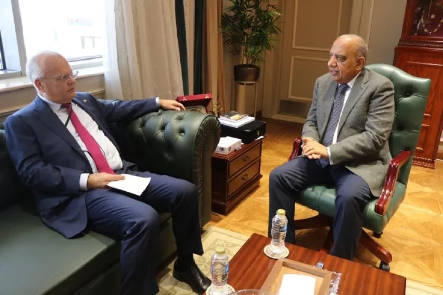 وزير الكهرباء يبحث مع سفير السويد تعميق الشراكة في الطاقة المتجددة وتوطين صناعة مهماتها وبطاريات التخزين