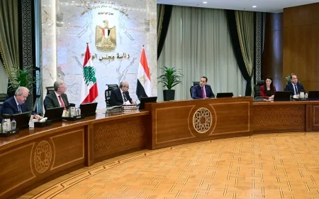 مصر ولبنان يؤكدان تعزيز التعاون المشترك في جميع المجالات