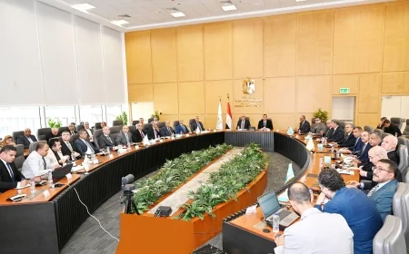 وزير الإسكان ورئيس الهيئة العربية للتصنيع يتابعان تنفيذ مشروعات "حياة كريمة"