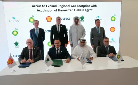 أركيوس توسع استثماراتها بقطاع الغاز المصري من خلال حقل هارماتان