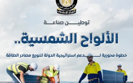 في خطوة محورية لتنويع مصادر الطاقة.. مجلس الوزراء يستعرض جهود الدولة في توطين صناعة الألواح الشمسية