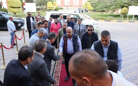 فى زيارة ميدانية.. وزير الكهرباء والطاقة المتجددة يتفقد محطة توليد كهرباء النوبارية بمحافظة البحيرة .