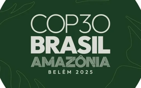 الرئيس البرازيلي يدعو إلى التخلص التدريجي من الوقود الأحفوري قبيل مؤتمر كوب 30