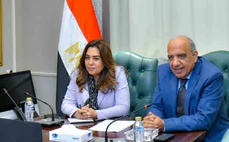 وزيرا الكهرباء والطاقة المتجددة و البيئة يبحثان التنسيق والتعاون فى قضايا البيئة والطاقات المتجددة والموارد الطبيعية