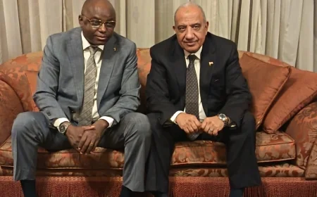 وزير الكهرباء والطاقة المتجددة يبحث مع وزير المياه والطاقة بجمهورية تشاد سبل دعم الشراكة والتعاون فى مجالات الكهرباء و برامج التدريب ونقل الخبرات وبناء القدرات وتنمية المهارات