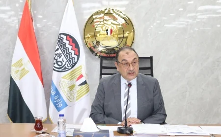 وزير قطاع الأعمال العام يترأس الجمعية العامة للقابضة للأدوية لاعتماد نتائج أعمال العام المالي 2024-2025