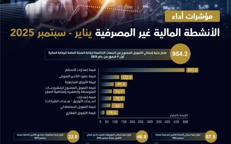 954.2 مليار جنيه إجمالي التمويل الممنوح من الجهات الخاضعة لرقابة الهيئة العامة للرقابة المالية أول 9 شهور من عام 2025