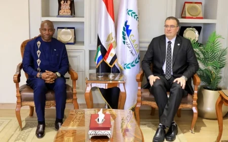 رئيس التنظيم والإدارة يستقبل وزير الإدارة العامة السيراليوني لبحث نقل الخبرات المصرية في الإصلاح الإداري