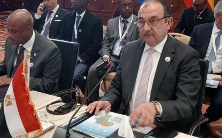 وزير قطاع الأعمال العام: مصر من الدول الرائدة في قطاع الأدوية.. ومستعدون لدعم توطين الصناعة بالقارة الأفريقية