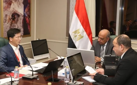 تعاون مصري–صيني لتعزيز قدرات الشبكة الكهربائية ودمج الطاقات المتجددة