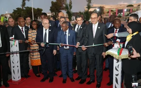 وزير قطاع الأعمال العام يشهد افتتاح المعرض المصاحب للمؤتمر الوزاري الأفريقي لإنتاج الأدوية وتكنولوجيا الصحة في الجزائر