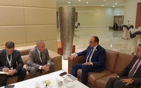 وزير قطاع الأعمال العام يلتقي المدير العام لمؤسسة تطوير صناعة السيارات في الجزائر لبحث التعاون المشترك في مجال المركبات