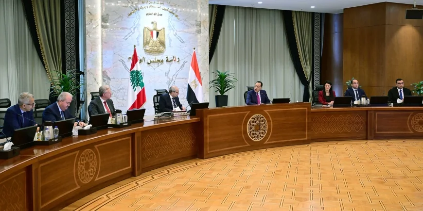 مصر ولبنان يؤكدان تعزيز التعاون المشترك في جميع المجالات