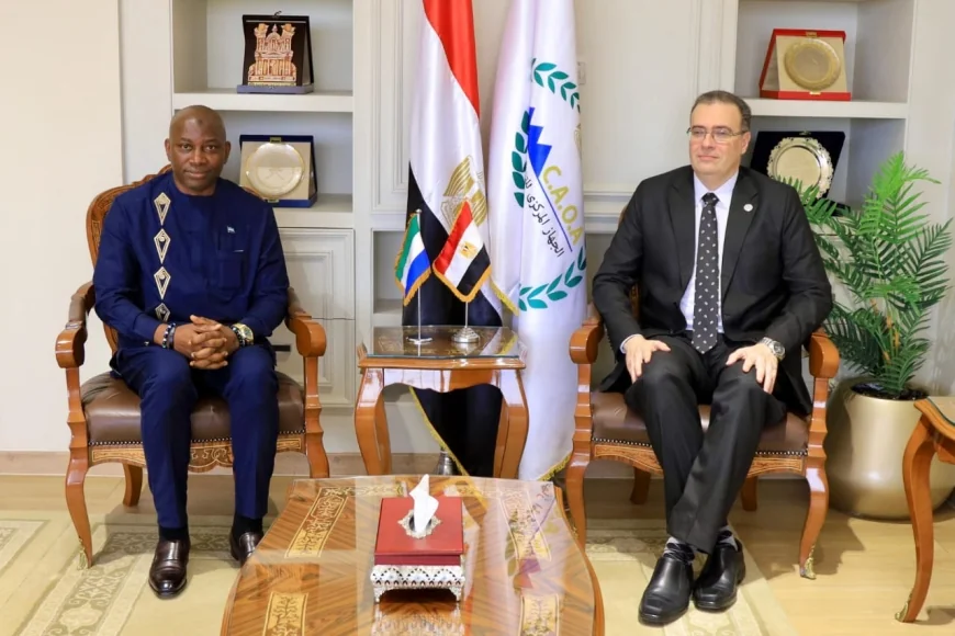 رئيس التنظيم والإدارة يستقبل وزير الإدارة العامة السيراليوني لبحث نقل الخبرات المصرية في الإصلاح الإداري
