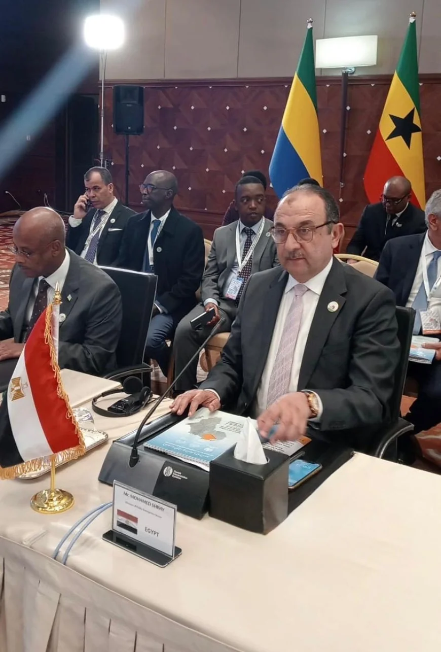 وزير قطاع الأعمال العام: مصر من الدول الرائدة في قطاع الأدوية.. ومستعدون لدعم توطين الصناعة بالقارة الأفريقية