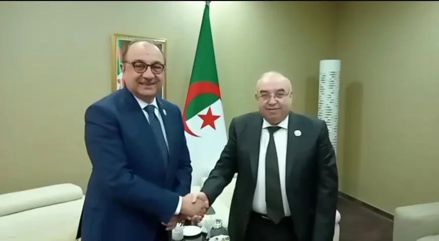 تعزيز الشراكة الصناعية بين مصر والجزائر بمجال الأدوية ودعم الأمن الصحي في أفريقيا