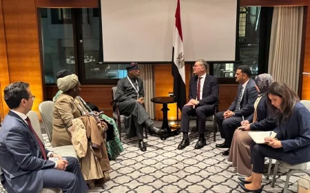 وزير البترول يبحث تعزيز الشراكة وتبادل الخبرات مع نيجيريا في قطاع التعدين