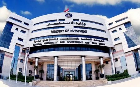 الهيئة العامة للاستثمار تُصدر الدليل الإرشادي لـ«الحافز النقدي» لدعم المشروعات الصناعية