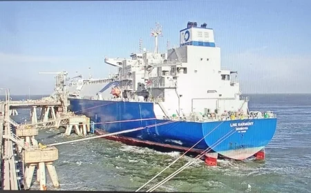 تصدير  شحنة غاز مسال جديدة من مجمع إدكو إلى تركيا 