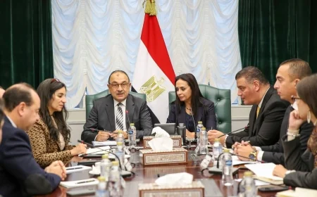 وزيرا قطاع الأعمال العام والتضامن الاجتماعي يبحثان تعزيز التعاون المشترك والتوسع في مشروعات صناعية توفر آلاف فرص العمل