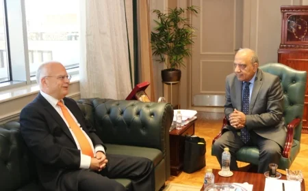 وزير الكهرباء والطاقة المتجددة يستقبل سفير السويد بالقاهرة ووفدا من  شركة لينكسون  "Linxon  " السويدية