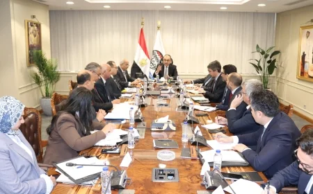 وزير قطاع الأعمال العام يستقبل وفدا رفيع المستوى من مجموعة البنك الدولي لبحث تعزيز التعاون المشترك