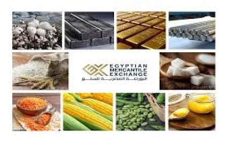 البورصة السلعية .. أداة تنظيمية لتعزيز الشفافية وضبط تداول السلع