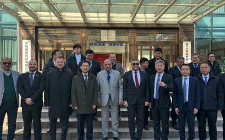 وزير الكهرباء يبحث مع «الوطنية الصينية للطاقة النووية» التعاون في مجالات الاستكشاف والاستخراج والبحث العلمي