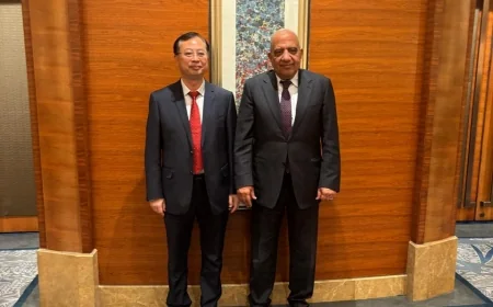 وزير الكهرباء يبحث مع «صاني» الصينية توطين صناعة مهمات الطاقة المتجددة ونقل التكنولوجيا إلى مصر