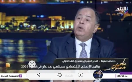 مدير صندوق النقد الدولي  يكشف استراتيجيات خفض الدين العام بمصر.. فيديو
