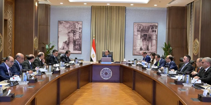 رئيس الوزراء يتابع توافر الأدوية وسداد مستحقات شركات الدواء