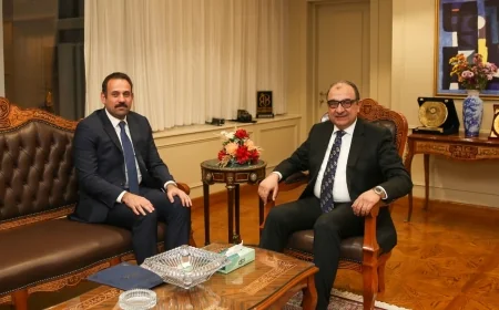 وزير قطاع الأعمال العام يبحث مع رئيس جهاز مستقبل مصر تعزيز الشراكات الاستراتيجية ودعم أهداف التنمية المستدامة