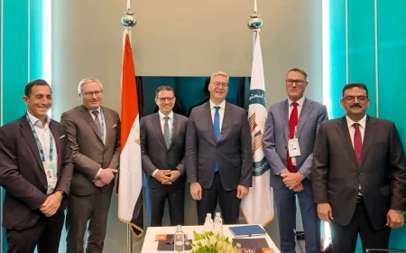 وزير البترول يبحث مع شركات كندية وأسترالية فرص الاستثمار والتعاون في قطاع التعدين المصري