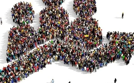 مصر تسجل تراجعًا ملحوظًا في أعداد المواليد خلال 2025.. اعرف التفاصيل