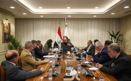 وزير قطاع الأعمال العام يتابع تنفيذ 737 مشروعًا لشركات المقاولات التابعة ضمن المرحلة الأولى من مبادرة «حياة كريمة»