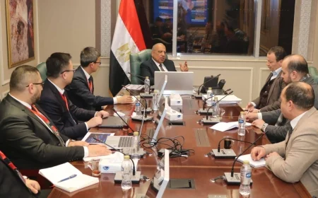 وزير الكهرباء يبحث مع مجموعة «SANY» الصينية توطين صناعة توربينات الرياح ونقل التكنولوجيا إلى مصر