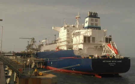 وزارة البترول تصدر شحنة جديدة من الغاز المسال إلى تركيا لصالح «شل» خلال يناير 2026