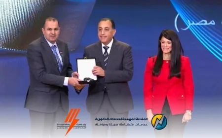 المنصة الموحدة لخدمات الكهرباء تحصد المركز الثاني بجائزة التميز الحكومي
