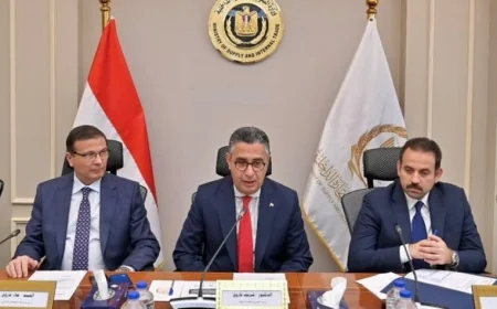 اتفاق ثلاثي لاستيراد دواجن مجمدة وطرحها بالمنافذ قبل رمضان لضبط الأسواق