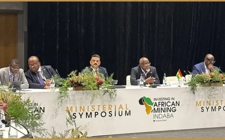 وزارة البترول تشارك في المائدة المستديرة لوزراء التعدين الأفارقة وتعقد لقاءات مكثفة مع مستثمري التعدين في مؤتمر إندابا