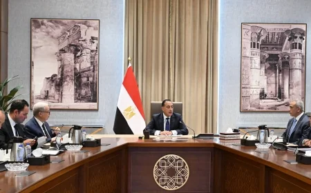 مدبولي يناقش هيكلة الهيئات الاقتصادية والشركات المملوكة للدولة مع نائب رئيس الوزراء للشئون الاقتصادية